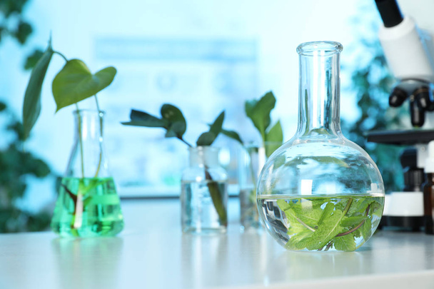 Glass flask with leaves on table in laboratory, space for text. Plant chemistry - Fotografie, Obrázek