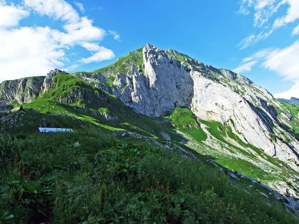 Альпійський пейзаж і скелясті вершини Alpstein гірського хребта - кантони Санкт-Галлен і Аппенцелль Innerrhoden, Швейцарія - Фото, зображення