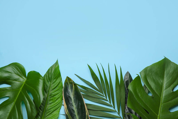 Flat lay composition with tropical leaves and space for text on color background - Фото, зображення