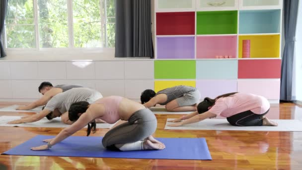 Group of young and senior asian people attending yoga class, do stretching their back and getting up. Group sport lifestyle. - Footage, Video