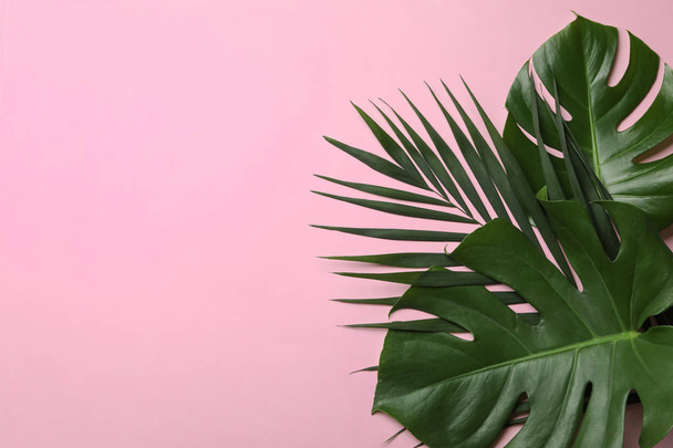 Flat lay composition with tropical leaves and space for text on color background - Foto, immagini