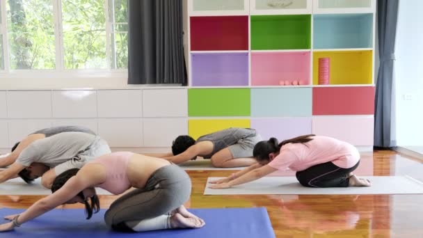 Group of young and senior asian people attending yoga class, sitting down and start to stretch, side shot. Group sport lifestyle. - Metraje, vídeo
