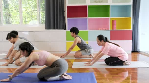 Gruppe junger und älterer asiatischer Leute, die Yoga-Kurs besuchen, sich hinsetzen und beginnen, sich zu dehnen, Seitenschuss. Gruppensportlicher Lebensstil. - Filmmaterial, Video
