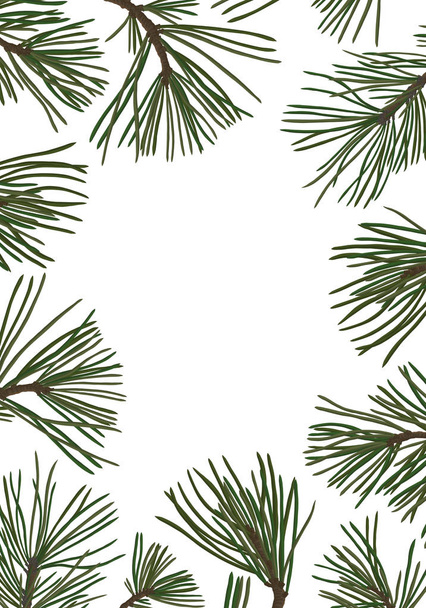 pine branches with green needles - Vector, Image
