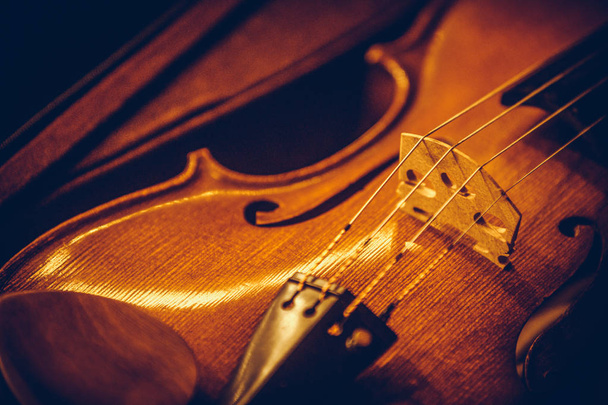 Vintage violin detail - Фото, изображение