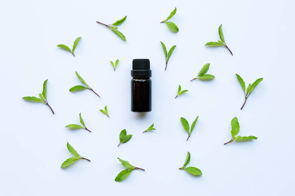 Holy basil essential oil in a glass bottle on white background - Фото, зображення