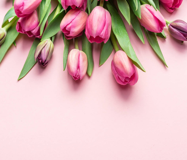 Delicate pink tulips on lightpink background.  - Fotoğraf, Görsel