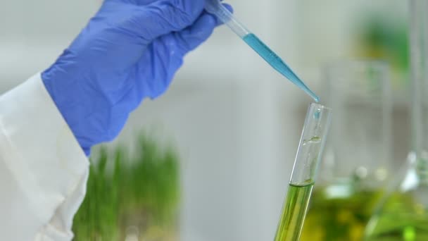Laboratorioavustaja sekoittamassa vihreitä ja sinisiä reagensseja, suorittamassa kokeita
 - Materiaali, video