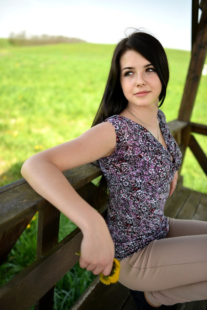 Beautiful young woman in the field - Photo, image