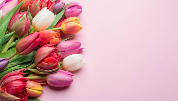 Colorful bouquet of tulips on white background.  - Fotografie, Obrázek