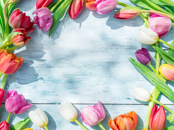 Kolorowe tulipany na niebieskim drewnianym stole w sunlights wiosna.  - Zdjęcie, obraz