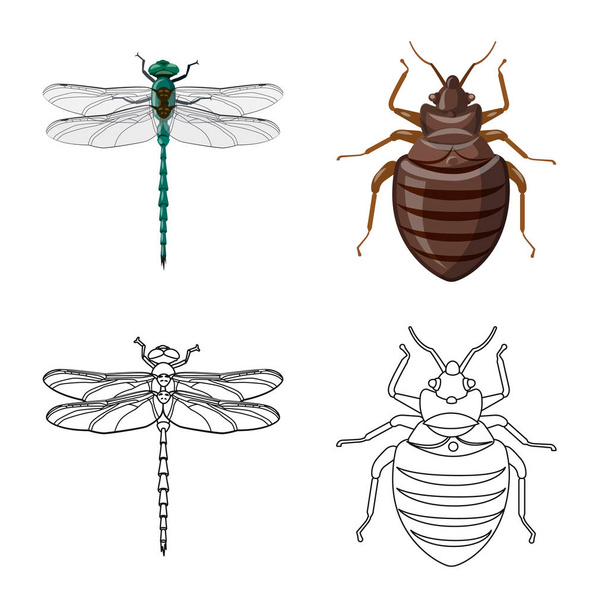 Vector design of insect and fly logo. Set of insect and element vector icon for stock. - Vector, Image