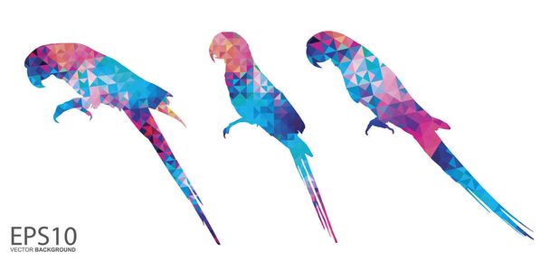 fundo padrão de pássaro Macaw colorido
. - Vetor, Imagem