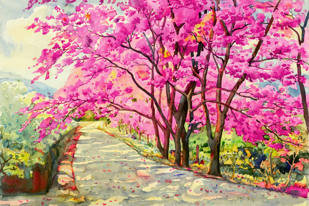 Pittura acquerello paesaggio di ciliegia himalayana selvatica
. - Foto, immagini