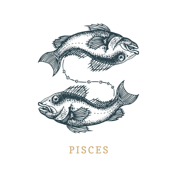 Balık burç sembolü, el stil oyma çekilmiş. Burcunuz balık vektör grafik retro resmini. - Vektör, Görsel