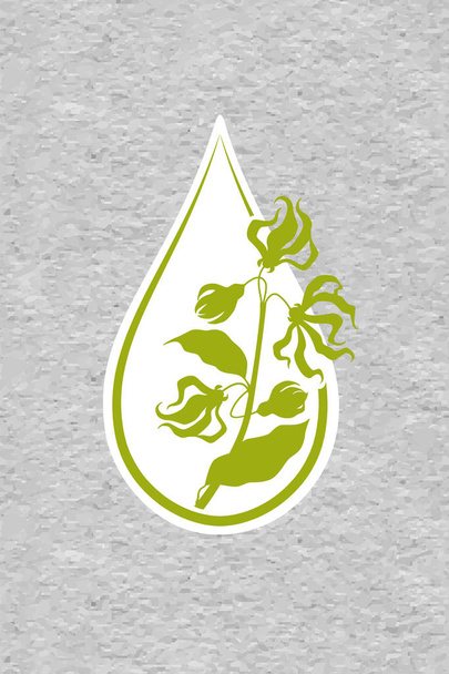 A bottle with essential oil of ylang-ylang (flat icon). A drop of ylang ylang flower essential oil (logo). Branches of cananga tree. Aromatherapy, perfumery, cosmetics, spa logo. ?raft paper textured - Vector, Image