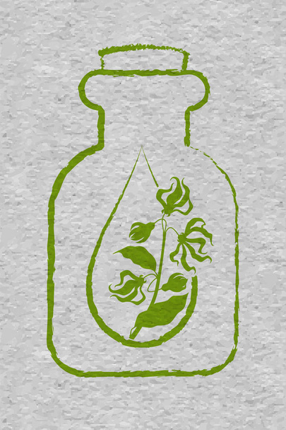 Una botella con aceite esencial de ylang-ylang. Una gota de aceite esencial de flor de ylang ylang. Ramas de cananga. Papel artesanal texturizado
 - Vector, imagen