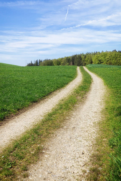 διαδρομή στο καταπράσινο λιβάδι, τοπίο τοπίο της φύσης - Φωτογραφία, εικόνα
