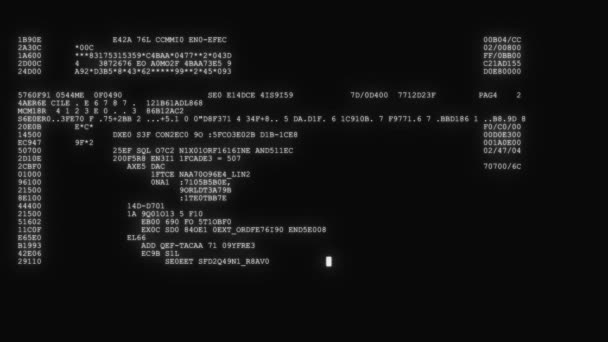 cifrado rápido y largo desplazamiento programación seguridad piratería código flujo de datos en blanco negro pantalla nuevos números de calidad letras codificación techno alegre vídeo 4k archivo
 - Metraje, vídeo