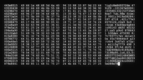 siyah beyaz bir görünümü yeni kalite numaraları harf techno neşeli video 4 k Stok görüntüleri kodlama akışta şifreli hızlı uzun kayan programlama güvenlik kesmek kod veri akışı - Video, Çekim
