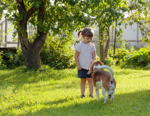 Happy little girl with dog in sunny summer day in garden. - Photo, Image