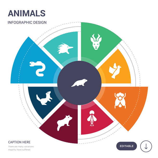 9 basit hayvanlar vektör simgeleri ayarlayın. desman, dikenli karıncayiyen, yılan balığı, ermine, yaban gelinciği, firefly, sinek simgeler ve diğerleri gibi içerir. düzenlenebilir infographics tasarım - Vektör, Görsel