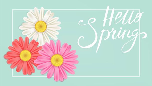 Hello Spring banner. Hand drawn lettering. Background with chamomile, daisy. Spring Time template, flyer, posters, brochure. Happy spring Day. Fashionable styling. Flower vector isolated - Vector, Image