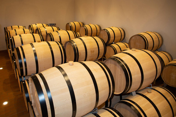 Oak barrels in a underground wine cellar - Photo, Image