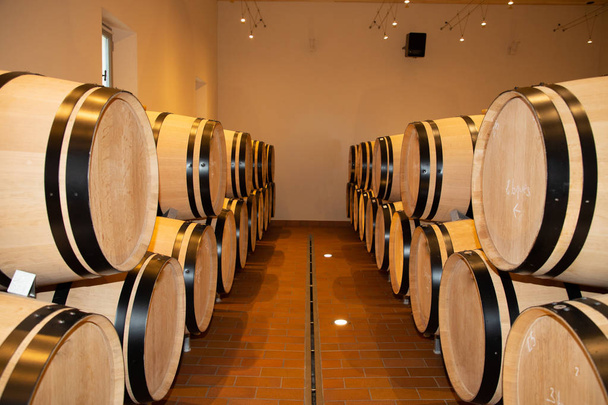 modern bir şaraphane varil mahzeninde şarap varil - Fotoğraf, Görsel