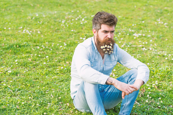 Man with calm face relaxing on grassy field with wild flowers. Handsome guy with daisy or chamomile flowers in his beard sitting on green meadow. Spring freshness concept - Foto, imagen