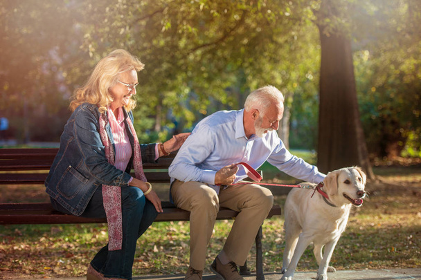 Happy Senior couple outdoors with dog enjoying - 写真・画像