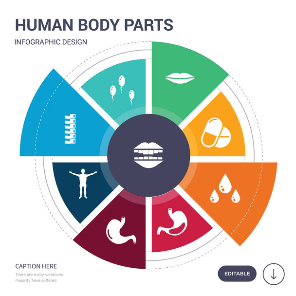 set of 9 simple human body parts vector icons. contains such as smiling mouth showing teeth, sperms, spine bone, standing human body, stomach, stomach with liquids, sweat or tear drop icons and - Vector, Image