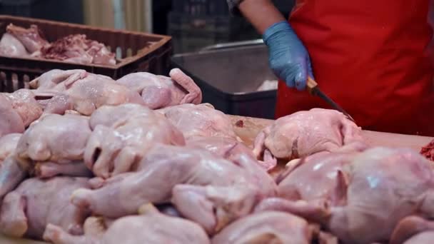 the poultry processing in food industry - Felvétel, videó