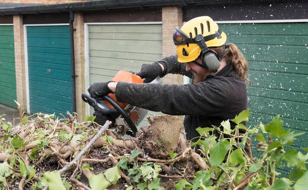 Arborist bir chainsaw kullanma - Fotoğraf, Görsel
