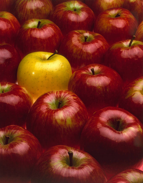 κόκκινα μήλα αλλά ένας κίτρινος - Φωτογραφία, εικόνα