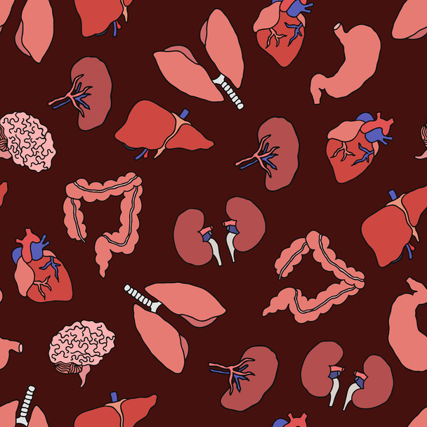 human organs seamless doodle pattern - Vector, Image