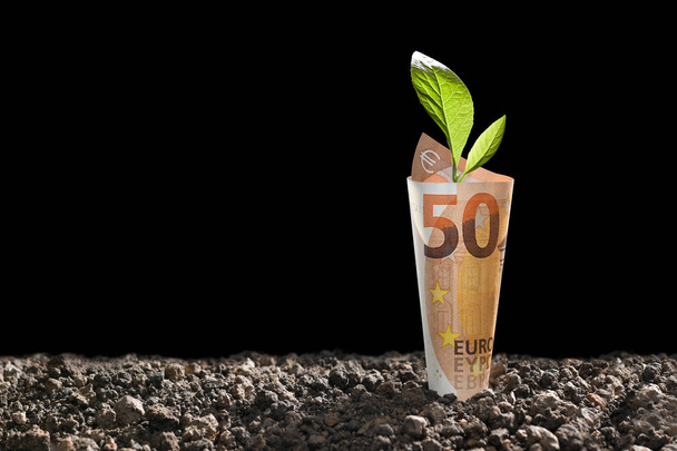 Bild der Euro-Banknote mit Pflanze, die oben wächst, für Unternehmen, Sparen, Wachstum, Wirtschaftskonzept isoliert auf schwarzem Hintergrund - Foto, Bild