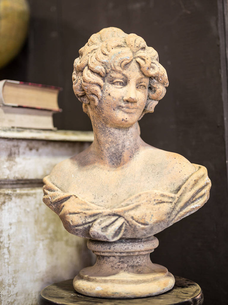 Бюст женщины, древняя гипсовая статуя
 - Фото, изображение
