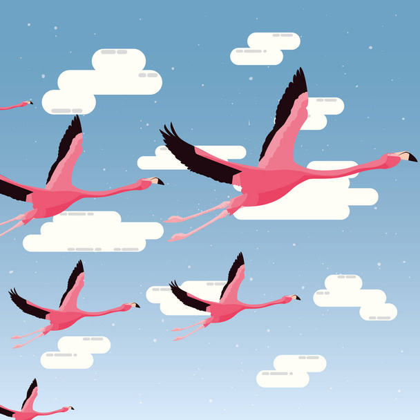 repülő aranyos flamingók - Vektor, kép