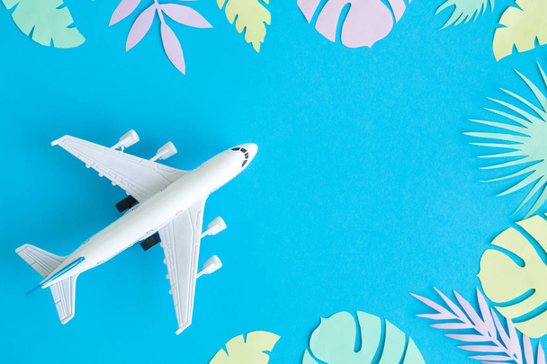 Top view of airplane model and multicolored leaves against blue background. - Фото, зображення