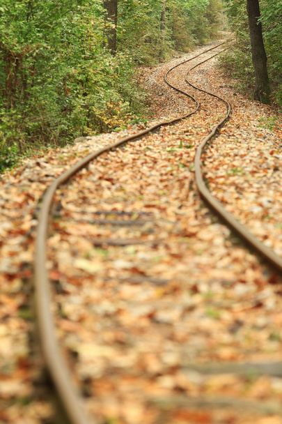 Railway in autumn - Photo, Image