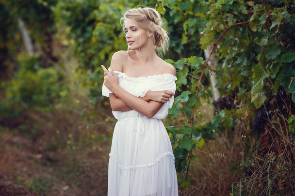 Belle fille blonde dans un vignoble. Romantique, dans le style provençal, une image douce
 - Photo, image