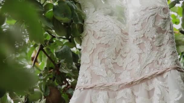 White wedding dress hanging on a green tree, white bridesmaid dress hanging among the branches of a tree. - Footage, Video