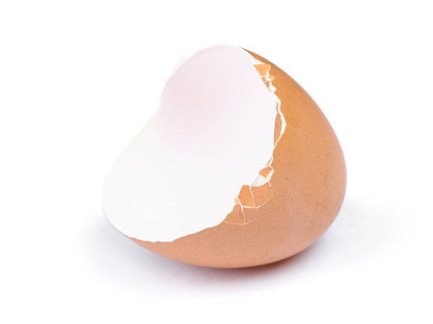 Broken egg shell - Photo, Image