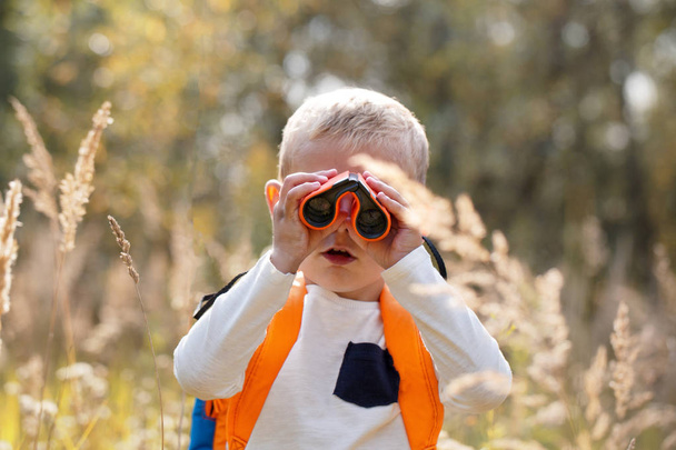 Young explorer watching with binoculars of birds in the high gra - Photo, Image