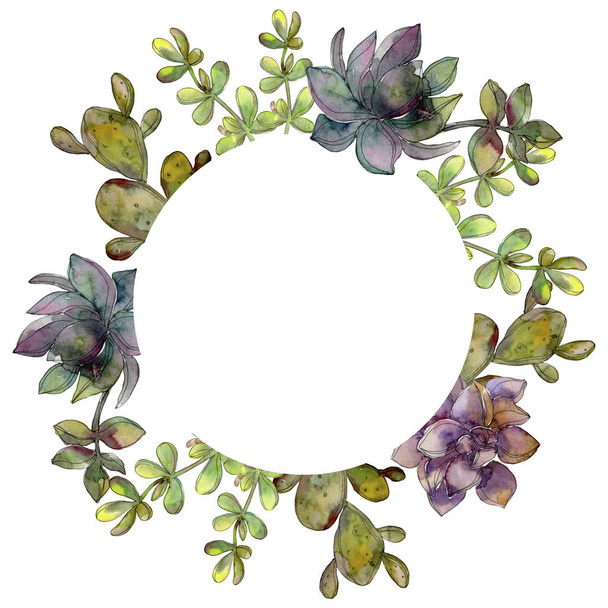Jungle botanical succulent flower. Watercolor background illustration set. Frame border ornament square. - Photo, Image