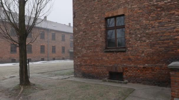 KRAKOW, POLAND -JANUARY 21 2019: People in front of the entrance of the Auschwitz museum of criminal proofs block 16 - Кадры, видео