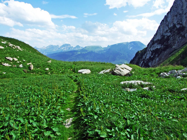 Alpejskie pastwiska i łąki na zboczach pasma górskiego Alpstein i w dolinie rzeki Thur - kantony St. Gallen i Appenzell Innerrhoden, Szwajcaria - Zdjęcie, obraz