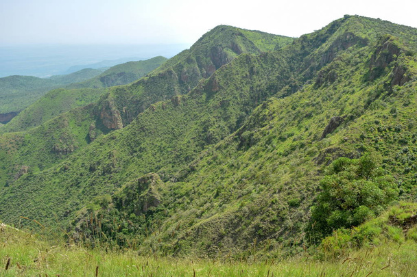 Саванна пасовища проти гірського фону, Гора Олорока, Кенія - Фото, зображення