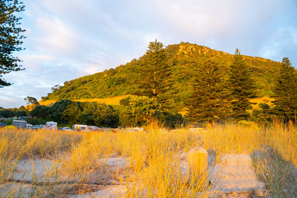 Пляжна трава золота на сході сонця
 - Фото, зображення
